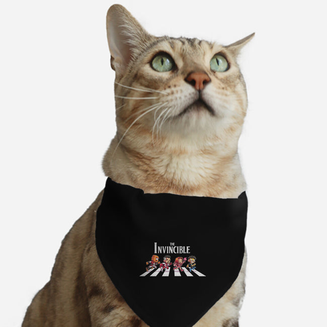 The Invincible-Cat-Adjustable-Pet Collar-2DFeer