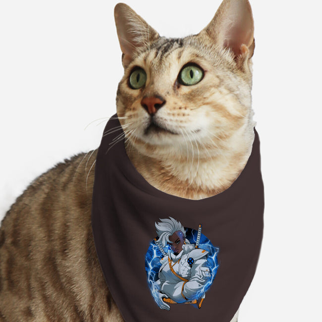 Thunderstorm Samurai-Cat-Bandana-Pet Collar-Bruno Mota