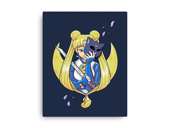 Ninja Moon Princess