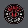 Red Five's Flight School-None-Stretched-Canvas-BadBox