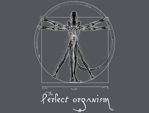 Perfect Organism