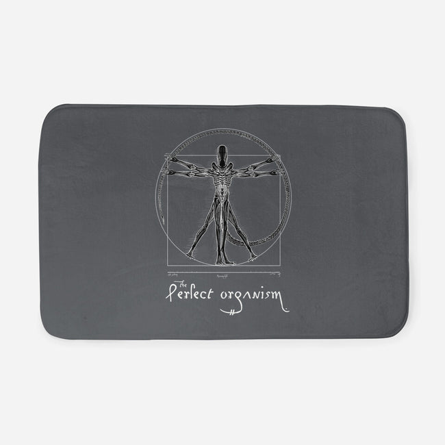 Perfect Organism-None-Memory Foam-Bath Mat-daobiwan