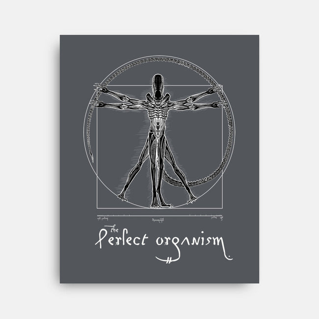 Perfect Organism-None-Stretched-Canvas-daobiwan