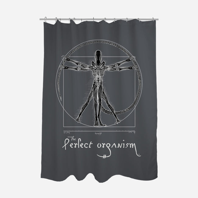 Perfect Organism-None-Polyester-Shower Curtain-daobiwan