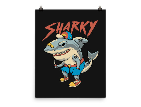 Sharky Boy