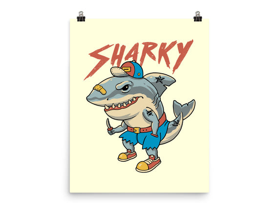 Sharky Boy