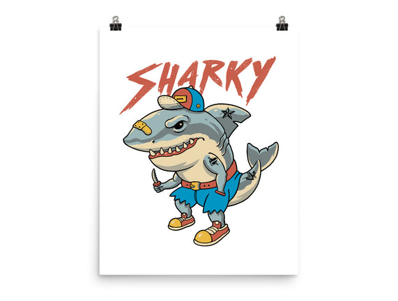 Sharky Boy