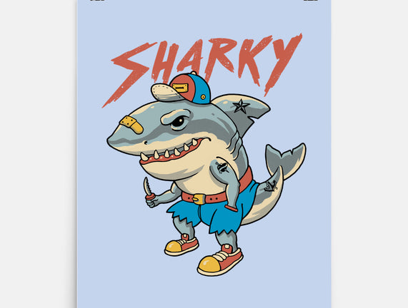 Sharky Boy