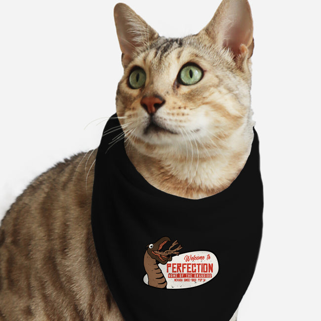 Welcome To The Perfection-Cat-Bandana-Pet Collar-Melonseta