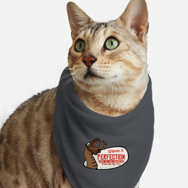 Welcome To The Perfection-Cat-Bandana-Pet Collar-Melonseta