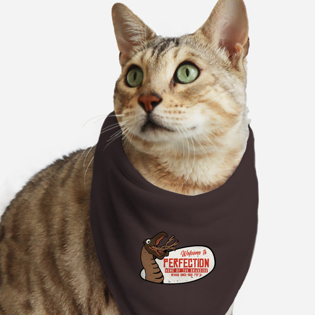 Welcome To The Perfection-Cat-Bandana-Pet Collar-Melonseta