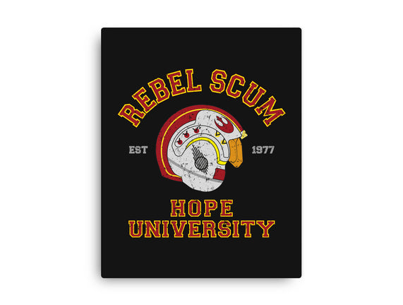 Rebel University