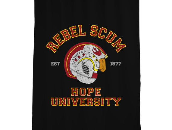 Rebel University