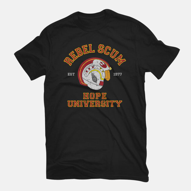 Rebel University-Womens-Fitted-Tee-sebasebi