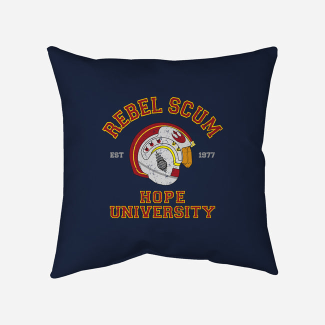 Rebel University-None-Removable Cover w Insert-Throw Pillow-sebasebi