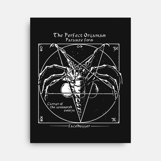 Alien Pentagram-None-Stretched-Canvas-daobiwan