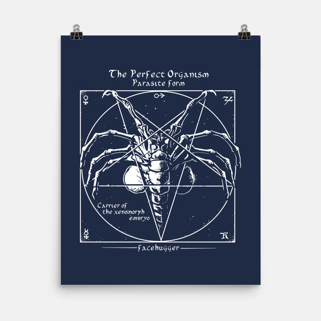 Alien Pentagram-None-Matte-Poster-daobiwan