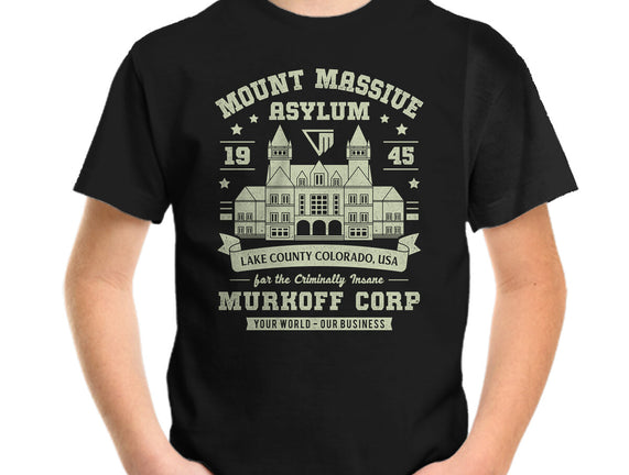 Mount Massive Asylum Vintage