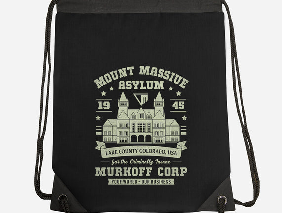 Mount Massive Asylum Vintage