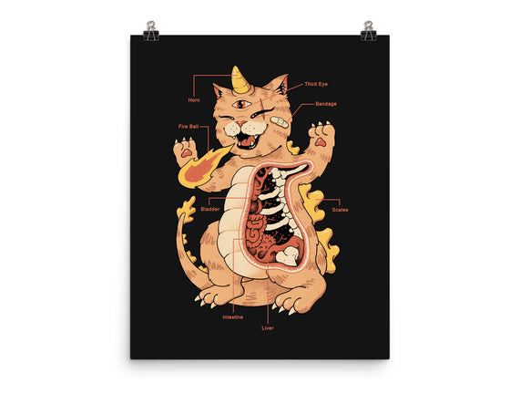 X-Ray Kaiju Meowster