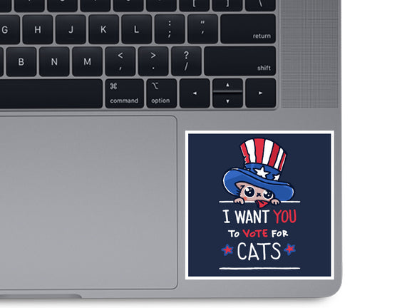 You Should Vote For Cats