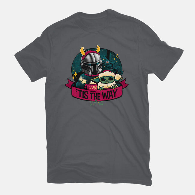 Tis The Way-Mens-Heavyweight-Tee-teesgeex