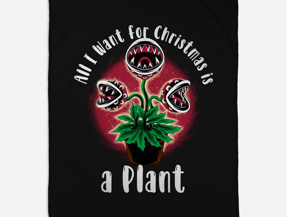 Christmas Plant