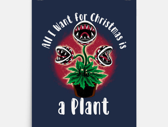 Christmas Plant