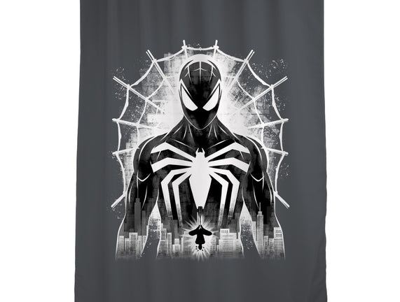 Spider Noir