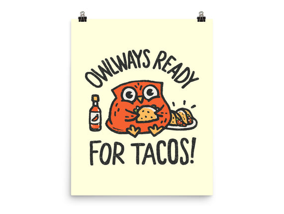 Owlways Ready For Tacos