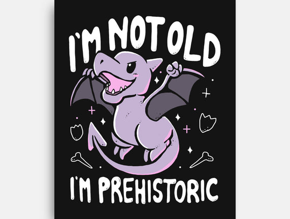 Not Old I'm Prehistoric