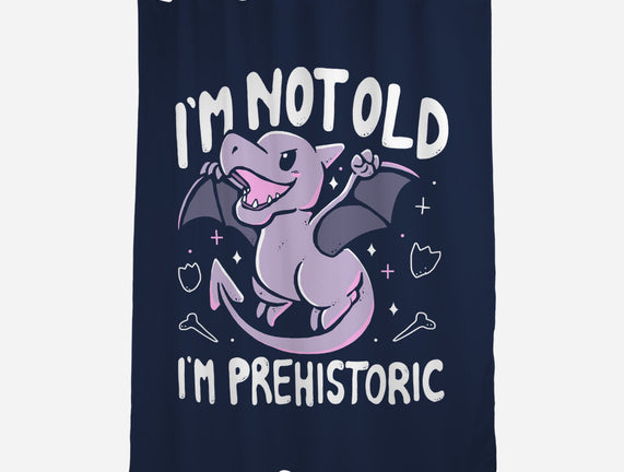 Not Old I'm Prehistoric