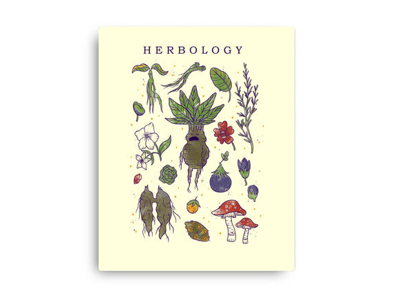 Herbology Class