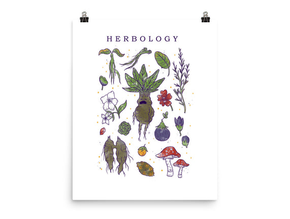 Herbology Class