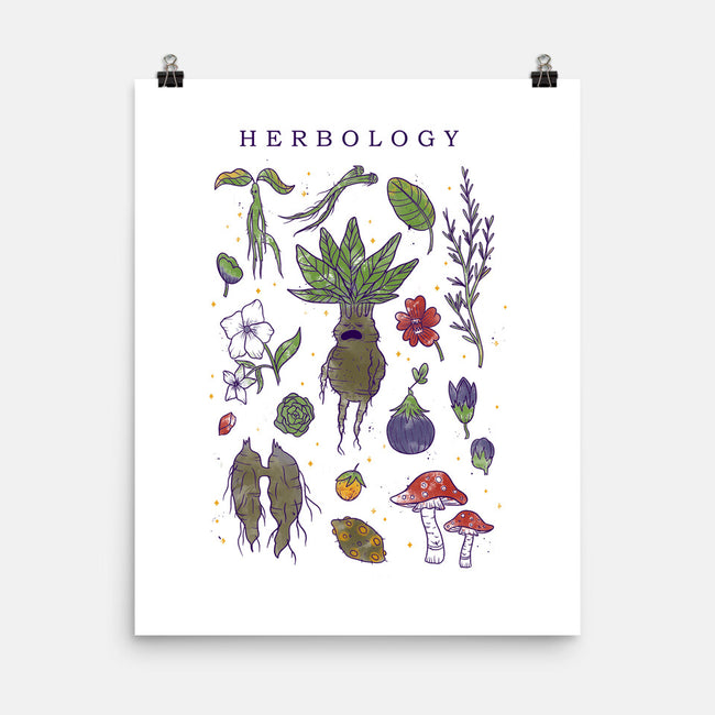 Herbology Class-None-Matte-Poster-yumie