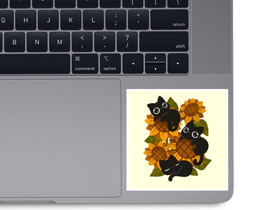 Sunflowers And Black Kitties