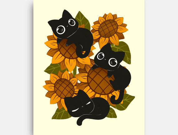 Sunflowers And Black Kitties