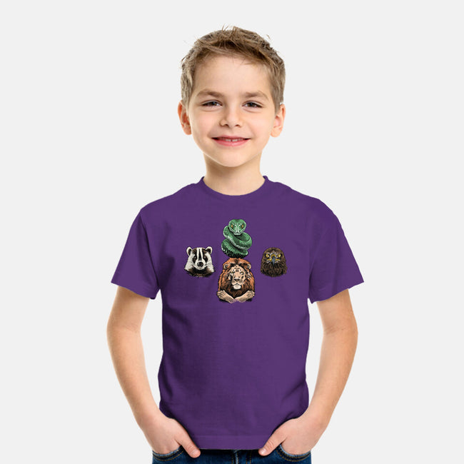 Hogwarts Rhapsody-Youth-Basic-Tee-zascanauta